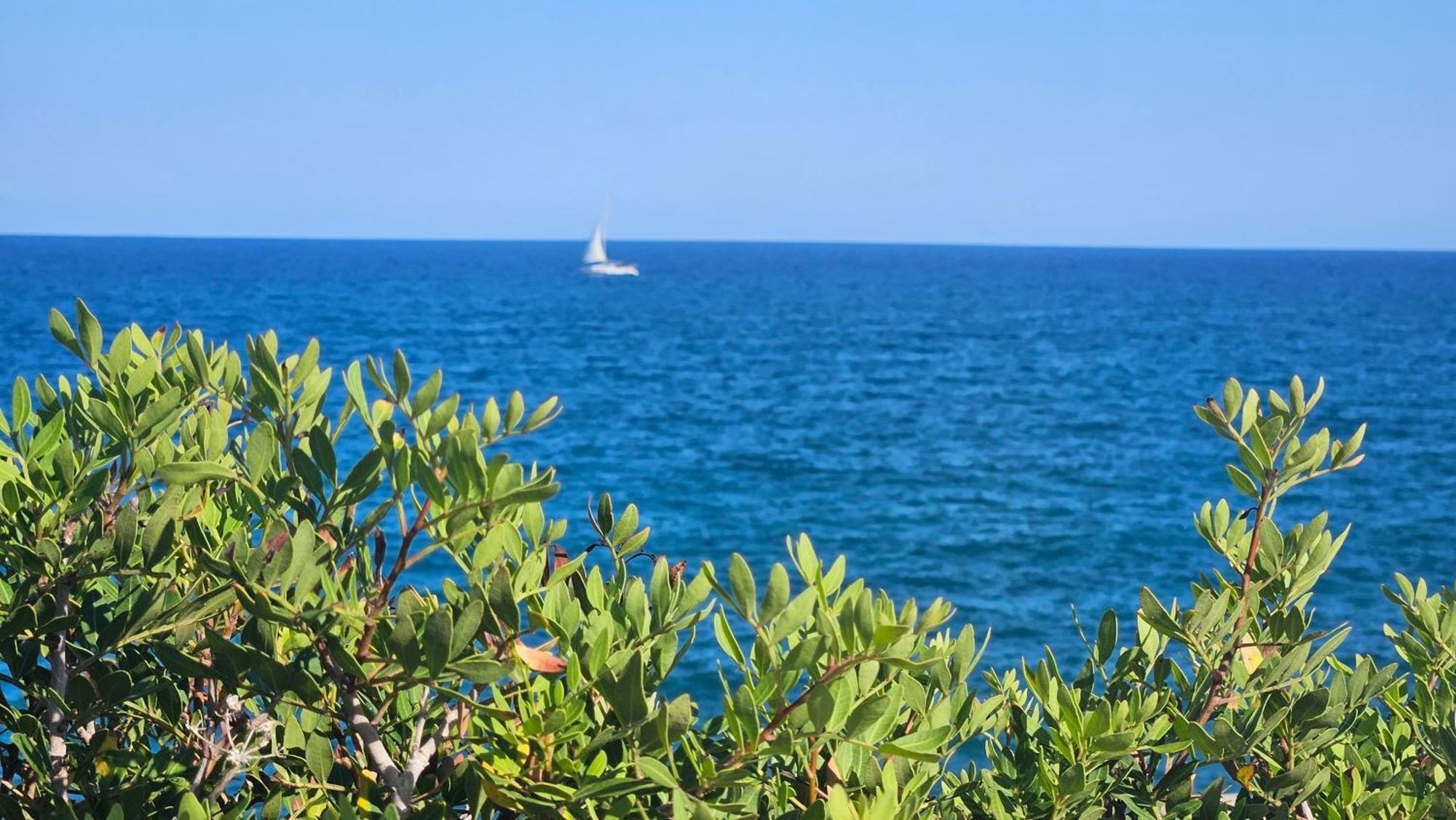 Royal Oropesa Διαμέρισμα Oropesa del Mar Εξωτερικό φωτογραφία