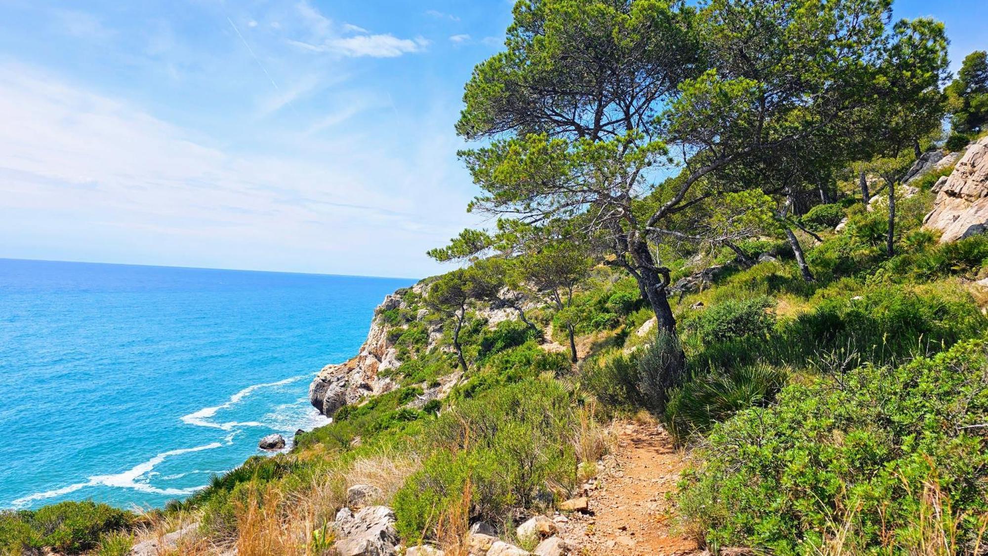 Royal Oropesa Διαμέρισμα Oropesa del Mar Εξωτερικό φωτογραφία