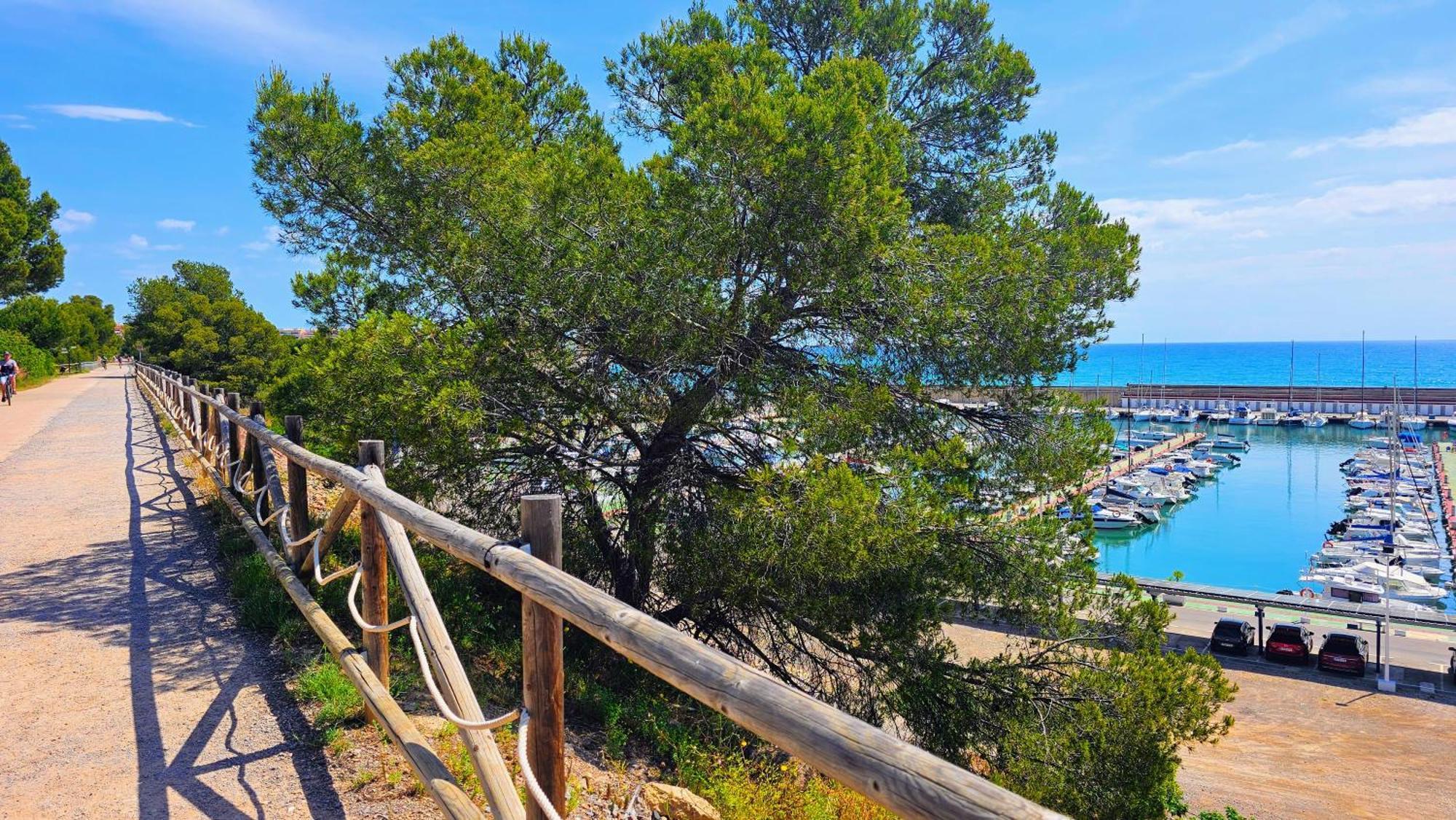 Royal Oropesa Διαμέρισμα Oropesa del Mar Εξωτερικό φωτογραφία