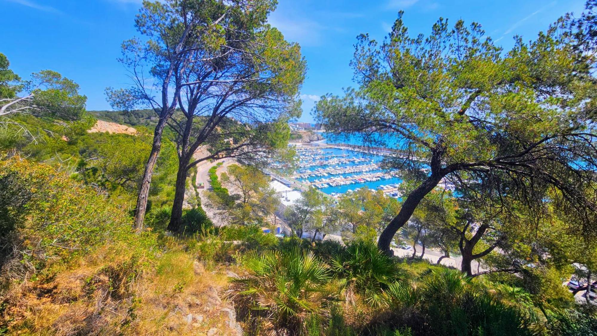 Royal Oropesa Διαμέρισμα Oropesa del Mar Εξωτερικό φωτογραφία